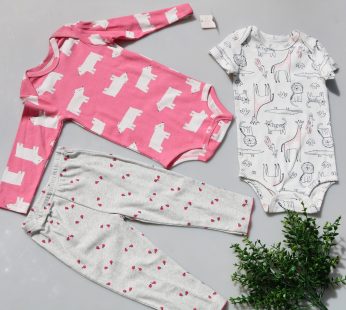 Newborn 3 piece set with two bodysuits and a trouser