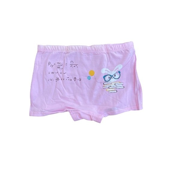 pink boxer-Photoroom Disney Princess Girls Kids Panties cartoon underwear kids boxers